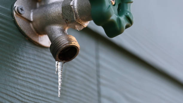 Best Plumbing Services Near Me  in Crosbyton, TX